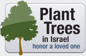 Plant a Tree to Honor a Loved One 